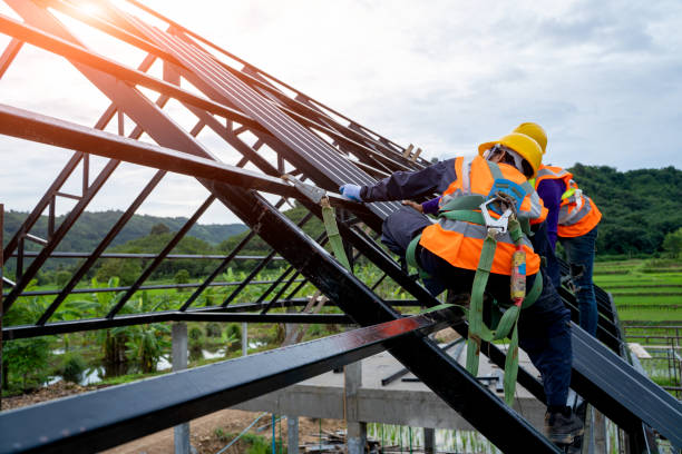 Best Roof Gutter Cleaning  in Nevada, TX