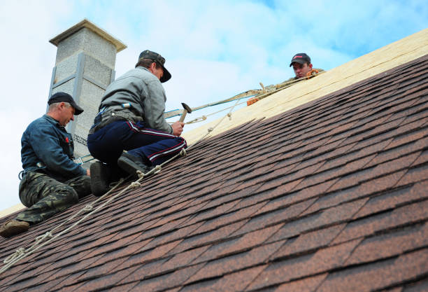Quick and Trustworthy Emergency Roof Repair Services in Nevada, TX